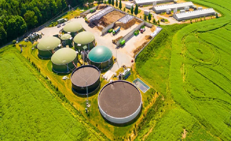 What Makes Europe the Global Biogas Leader?